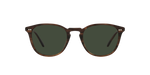 17249A - Tuscany Tortoise / Green Polarized