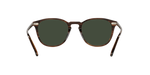17249A - Tuscany Tortoise / Green Polarized