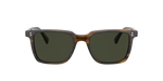 1677P1 - Bark / G-15 Polarized