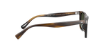 1677P1 - Bark / G-15 Polarized