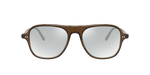 1625 - Espresso / Demo Lens Sea Mist Wash