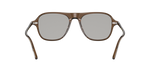1625 - Espresso / Demo Lens Sea Mist Wash