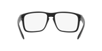 810001 - Satin Black / Demo Lens
