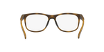 817502 - Satin Brown Tortoise / Demo Lens