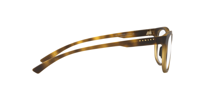 817502 - Satin Brown Tortoise / Demo Lens