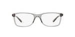 5413 - Semi-Shiny Transparent Grey / Demo Lens