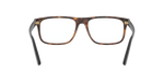 5003 - Shiny Dark Havana / Demo Lens