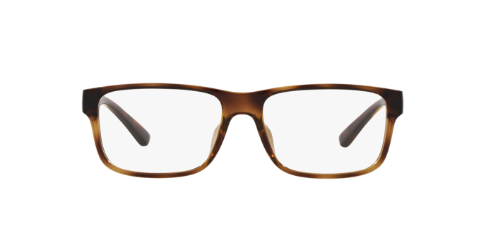 5003 - Shiny Havana / Demo Lens