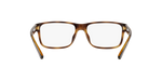 5003 - Shiny Havana / Demo Lens