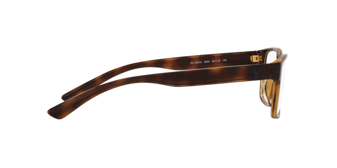 5003 - Shiny Havana / Demo Lens