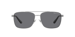 900281 - Shiny Gunmetal / Polarized Grey
