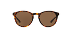 513473 - Havana / Brown