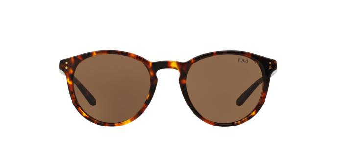 513473 - Havana / Brown
