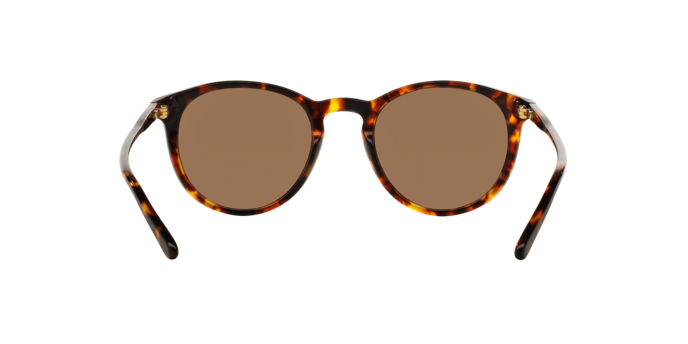 513473 - Havana / Brown