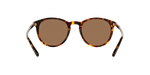 513473 - Havana / Brown