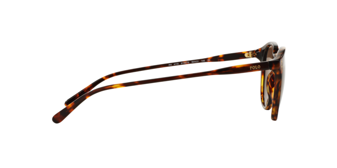 513473 - Havana / Brown