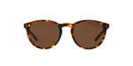 513483 - Shiny Antique Havana / Polarized Brown