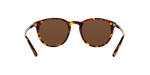 513483 - Shiny Antique Havana / Polarized Brown
