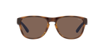 500373 - Shiny Havana / Brown