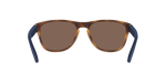 500373 - Shiny Havana / Brown