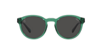 608487 - Shiny Transparent Green / Dark Grey