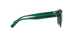 608487 - Shiny Transparent Green / Dark Grey