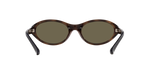 5003/3 - Shiny Havana / Brown