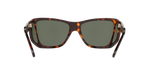 24/31 - Havana / Green