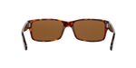 24/57 - Havana / Polarized Brown