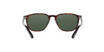 24/31 - Havana / Green