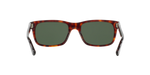 24/31 - Havana / Green