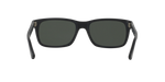 900058 - Black / Green Polarized