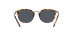 1081R5 - Brown / Blue
