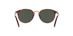 24/31 - Havana / Green