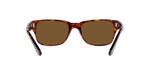 24/57 - Havana / Polarized Brown