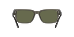 110358 - Transparent Taupe Gray / Polarized Green