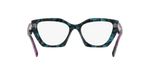 06Z1O1 - Tortoise / Demo Lens