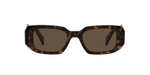 2AU8C1 - Tortoise / Brown