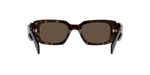 2AU8C1 - Tortoise / Brown