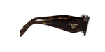 2AU8C1 - Tortoise / Brown