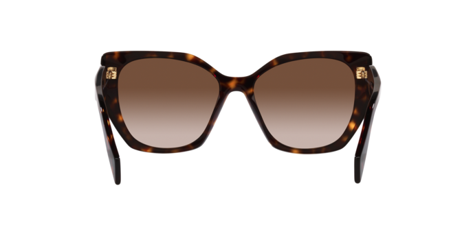 2AU6S1 - Tortoise / Brown Gradient