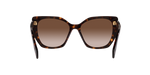 2AU6S1 - Tortoise / Brown Gradient