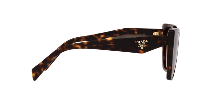 2AU6S1 - Tortoise / Brown Gradient