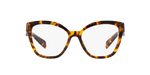 14L1O1 - Honey Tortoise / Demo Lens