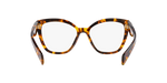 14L1O1 - Honey Tortoise / Demo Lens