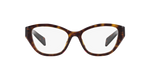 19J1O1 - Tortoise / Demo Lens
