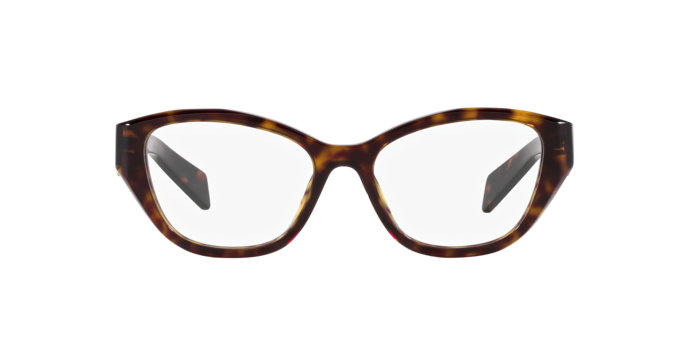 19J1O1 - Tortoise / Demo Lens