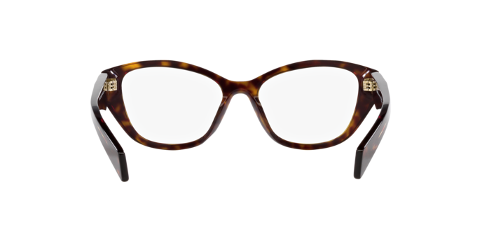 19J1O1 - Tortoise / Demo Lens