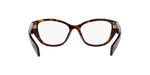 19J1O1 - Tortoise / Demo Lens