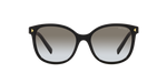 1AB0A7 - Black / Grey Gradient